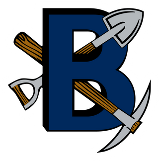 Bingham High School logo
