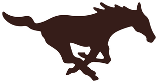 Sands High School logo