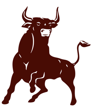 Bridgeport High School logo