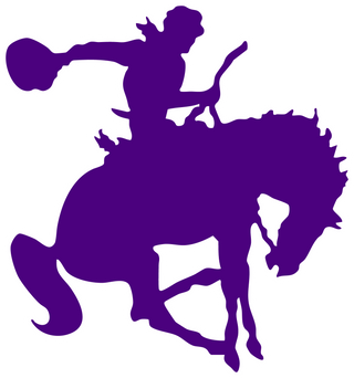 D Hanis High School logo