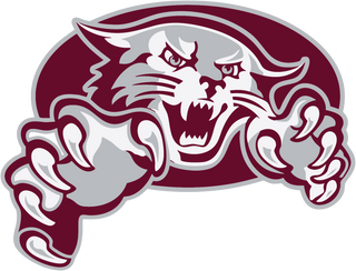 Shelby County High School logo