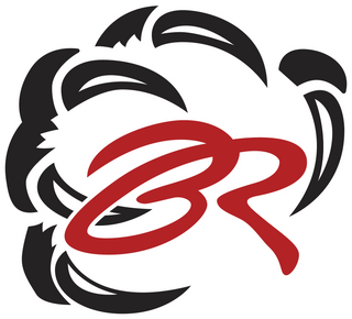 Bear River High School logo