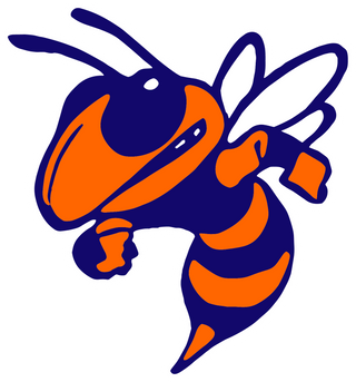 Roane County High School logo