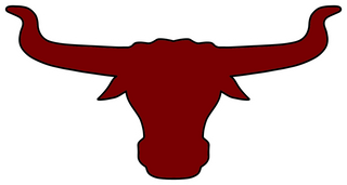 Johnson County High School logo