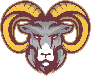 Tyner Academy logo