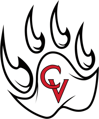 Castle View High School logo