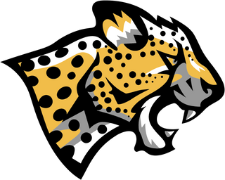 Southwind High School logo