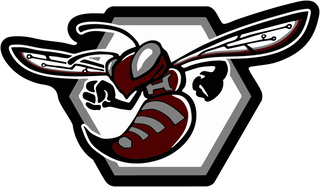 Hudson High School logo