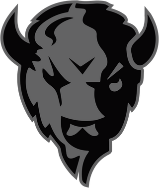 Tooele High School logo