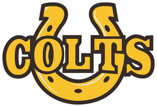 Cottonwood High School logo