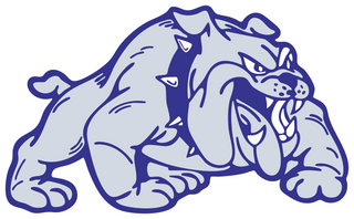Safford High School logo