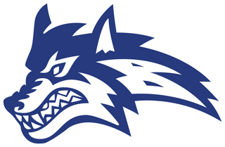Basic Academy logo