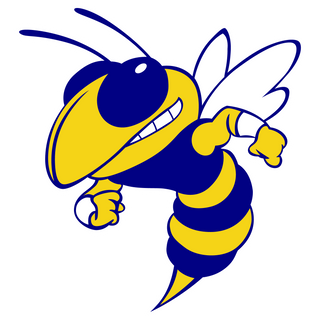Aliceville High School logo