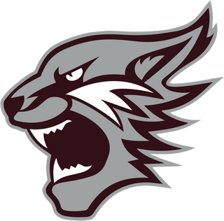 Palestine High School logo