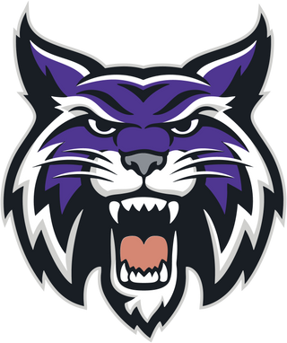 Hallsville High School logo