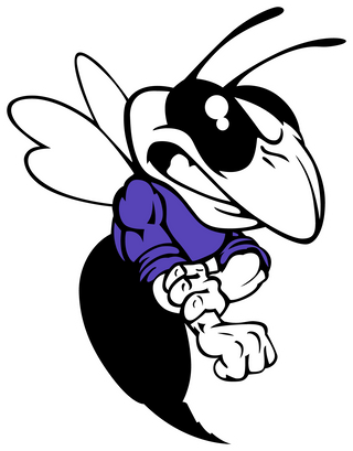 Chelsea HIgh School logo