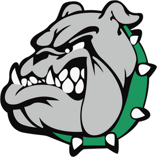 Virgin Valley High School logo