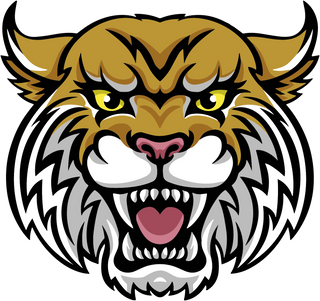 Polk County High School logo