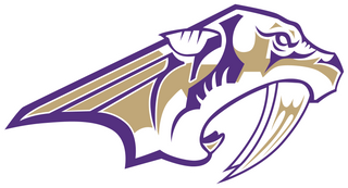 Sabino High School logo