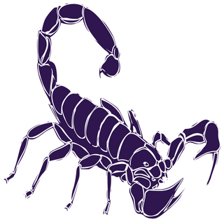 Sedona Red Rock High School logo
