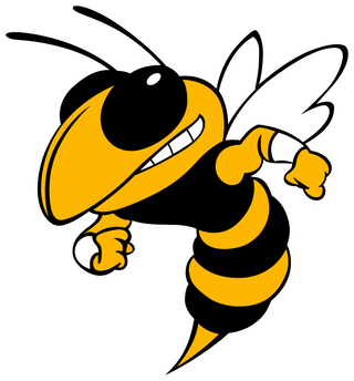 Ashford High School logo