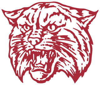Saks High School logo