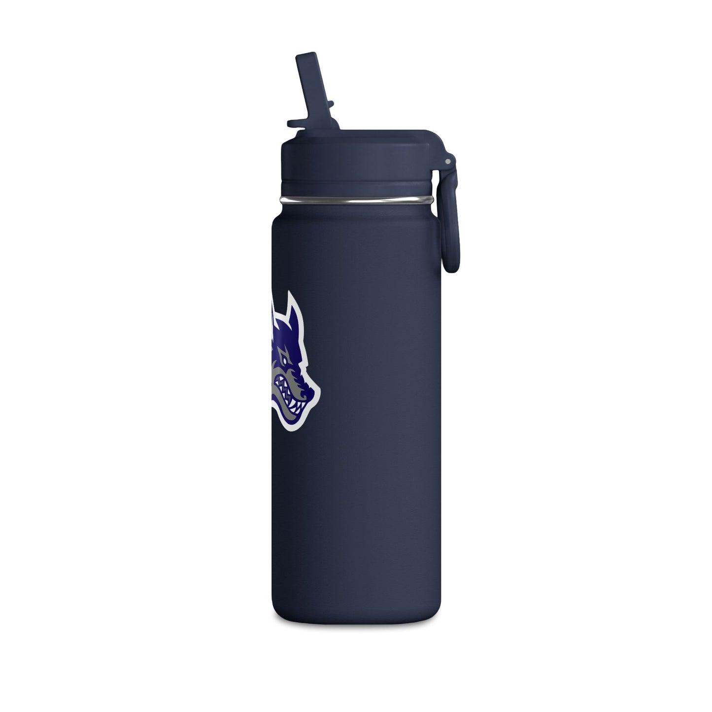 Mini Water Bottle, 20oz