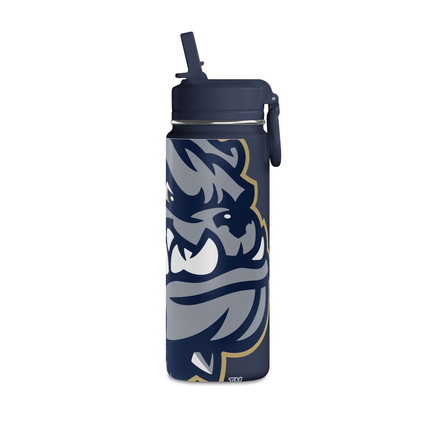 Mini Water Bottle, 20oz