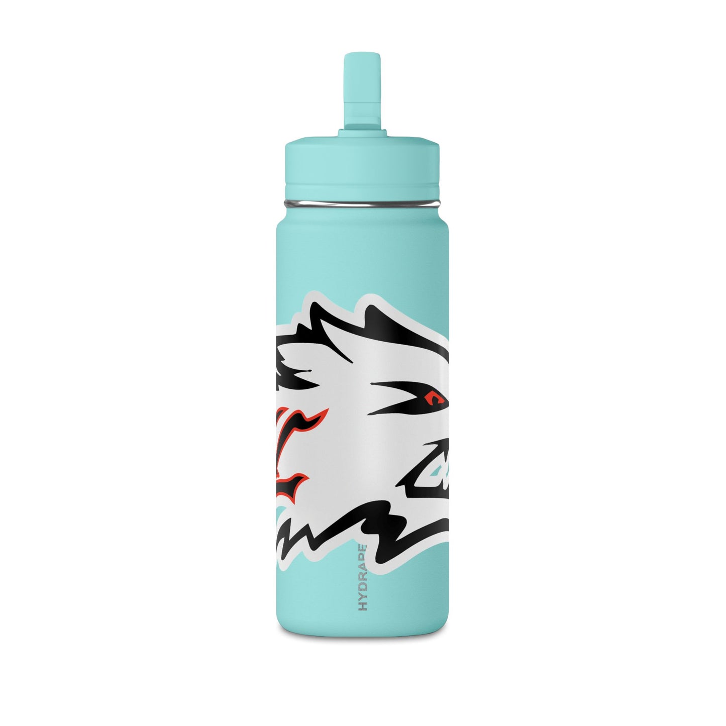 Mini Water Bottle, 20oz
