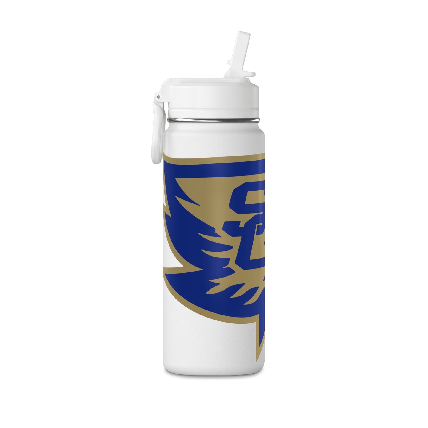 Mini Water Bottle, 20oz