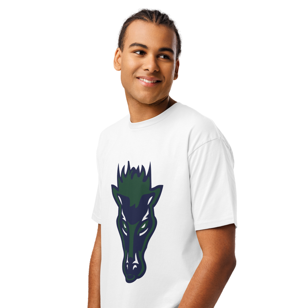 Damonte Ranch High School Design 1 — White