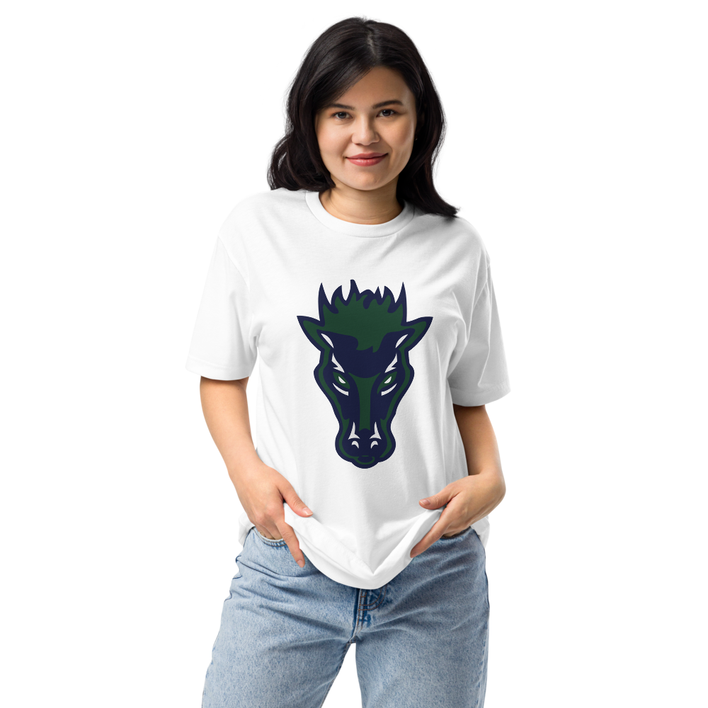 Damonte Ranch High School Design 1 — White