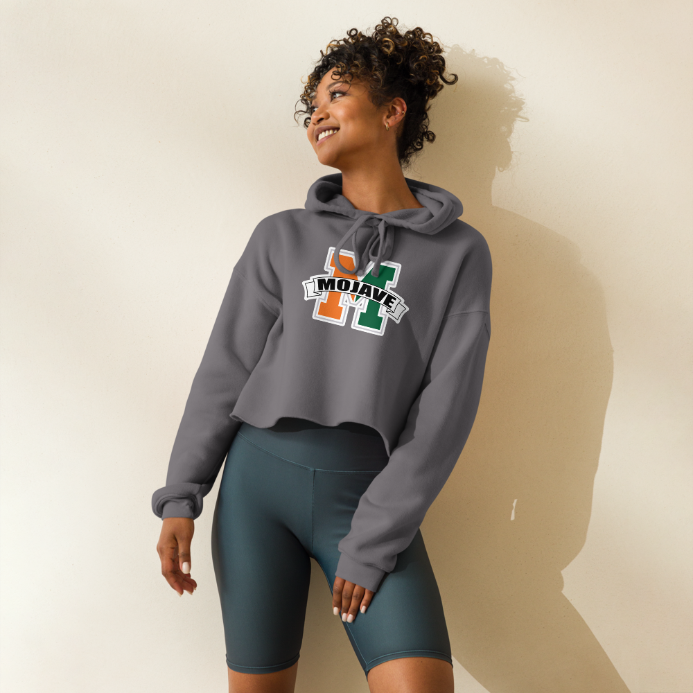 Mojave High School Design 3 — Storm