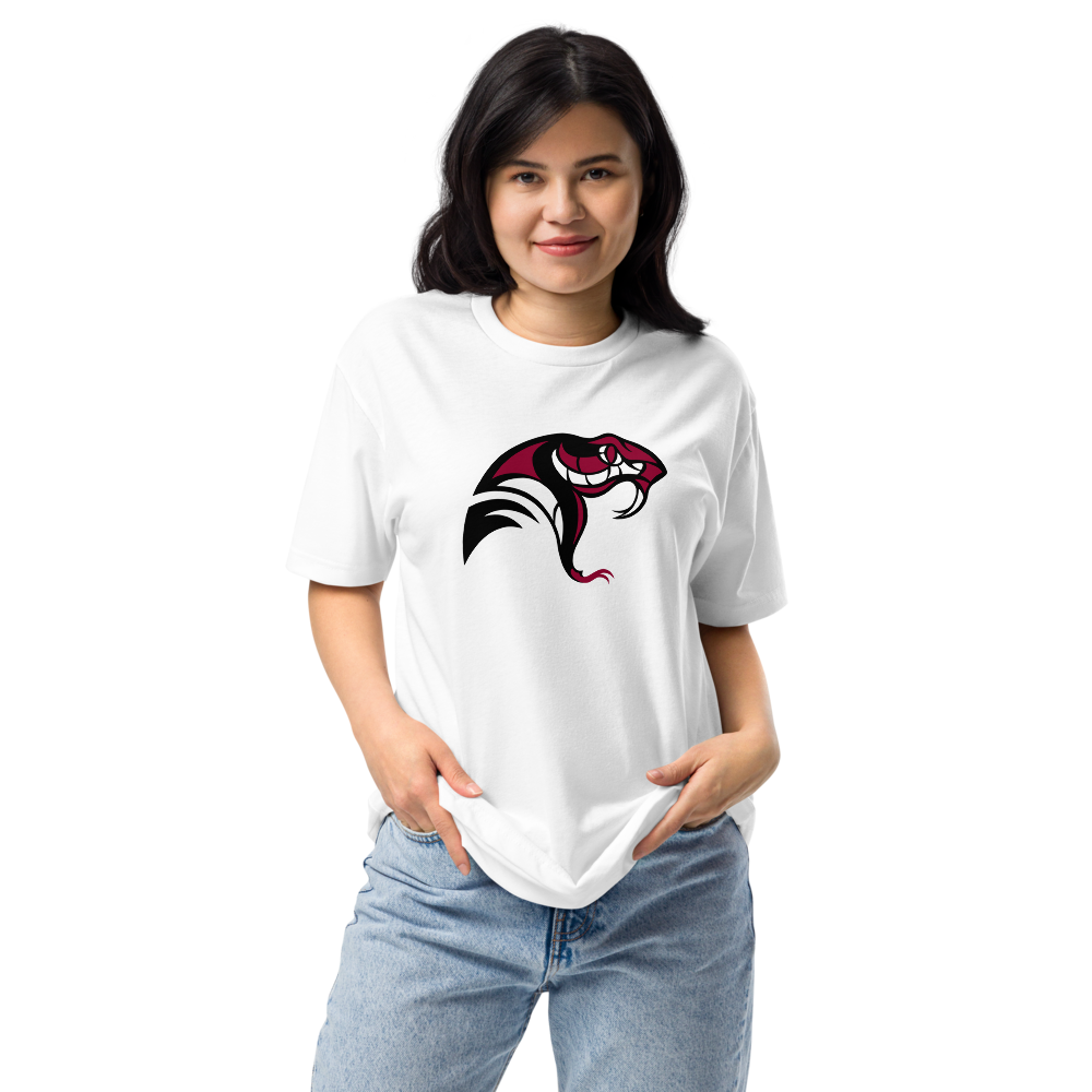 Desert Oasis High School Design 4 — White