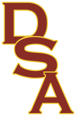 Del Sol Academy of the Performing Arts logo