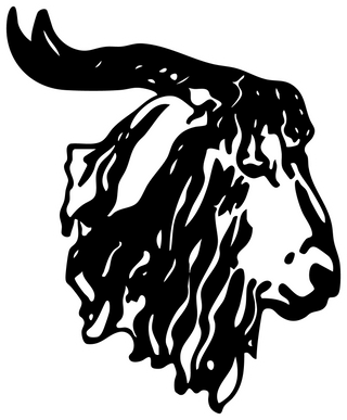 Rocksprings High School logo