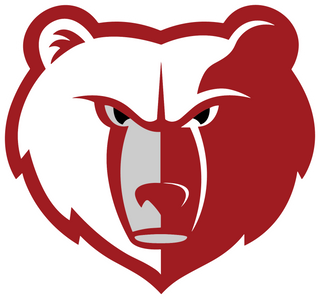Cheatham County Central High School logo