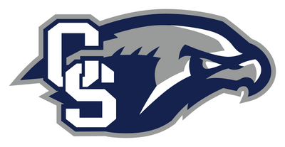 Cactus Shadow High School