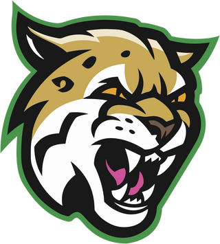 Hempstead High School logo