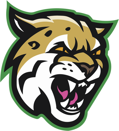 Hempstead High School