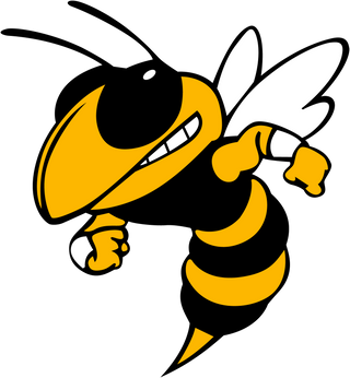 Ider High School logo
