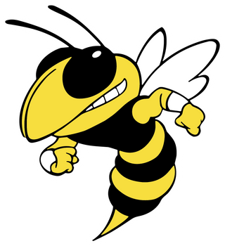 Fairview High School logo