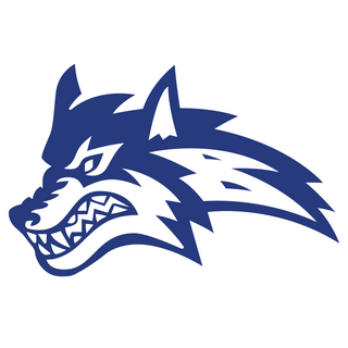 Basic Academy logo