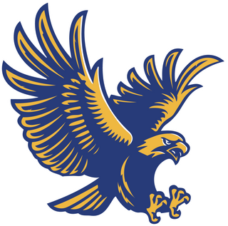 Channelview High School logo