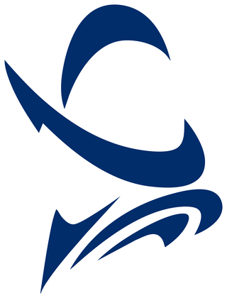 El Paso Del Valle High School logo