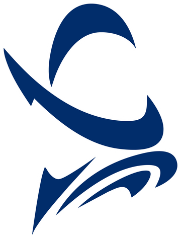 Del Valle High School logo