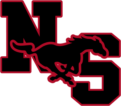 North Shore High School