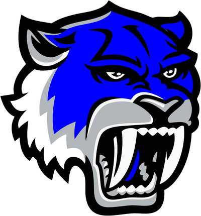 Robert Vela High School