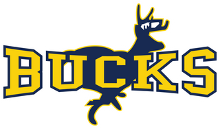Buck Horn High School logo