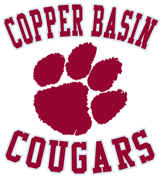 Copper Basin High School logo